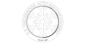 service logo